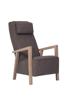 Alternative view of Tugitool ELISE kõrge