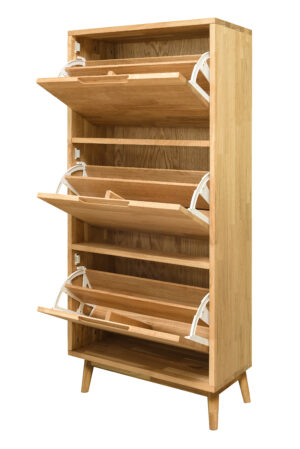 Alternative view of Kingakummut SCAN