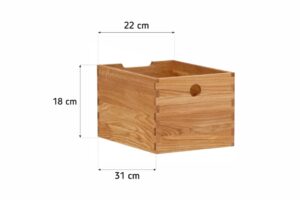 Alternative view of Hoiukarp REX